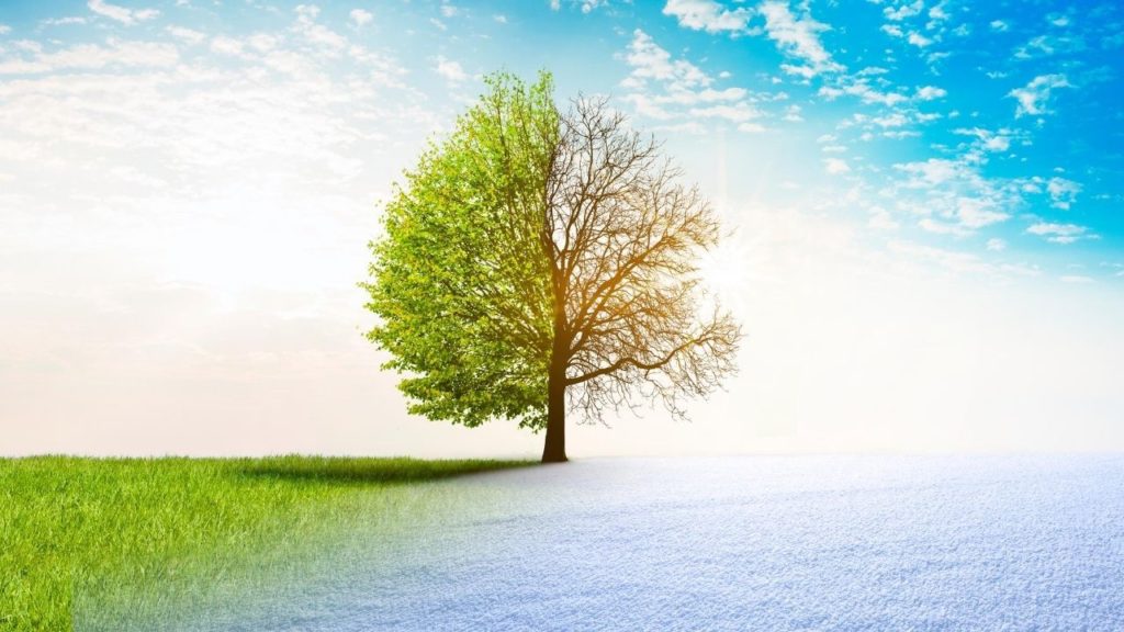How to lead during time of change
